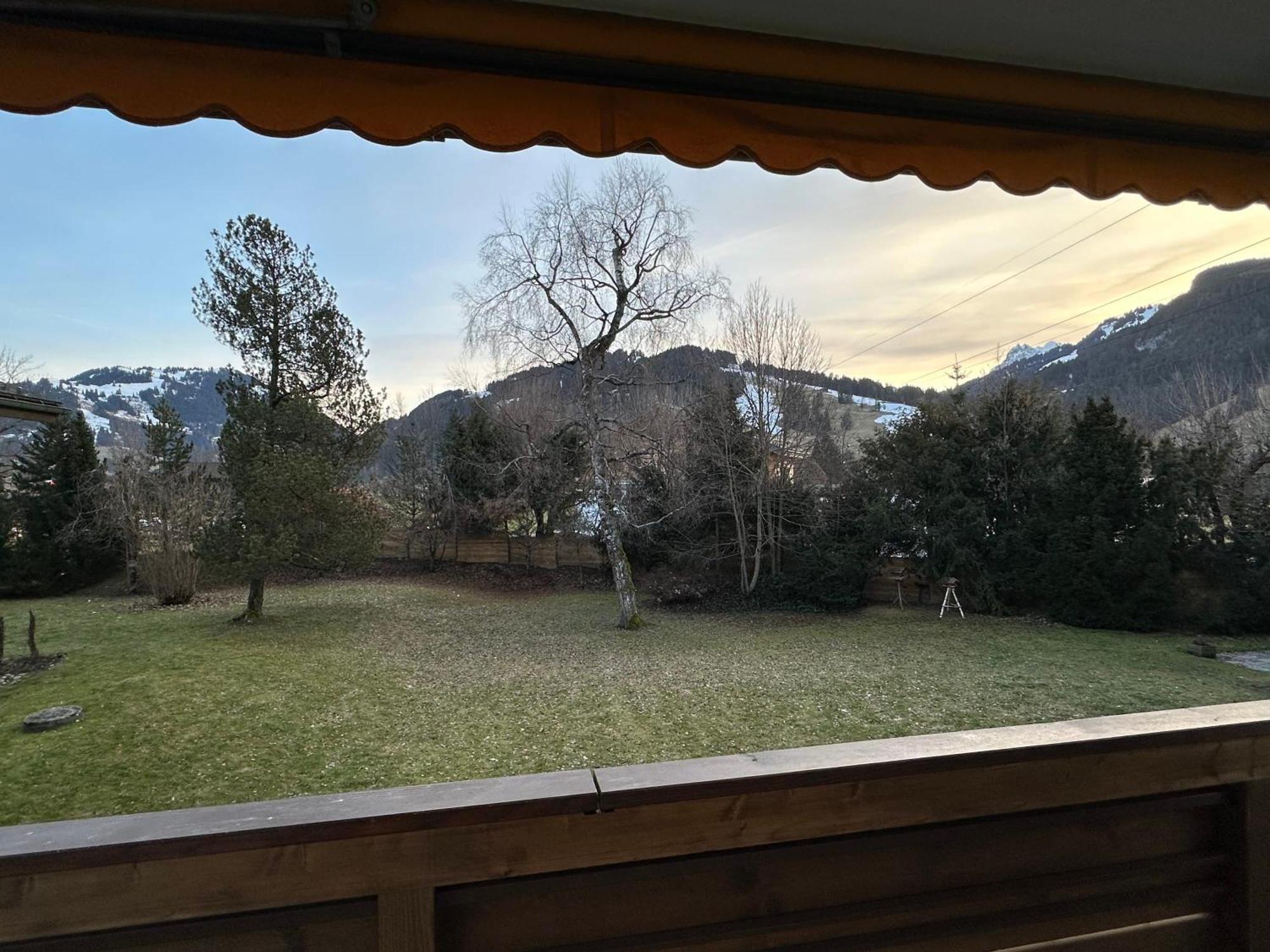 Fresh & Simple Near Apartment Gstaad